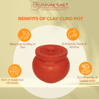 Terracotta Pot Shaped Clay Curd Pot – Handmade & Eco-Friendly